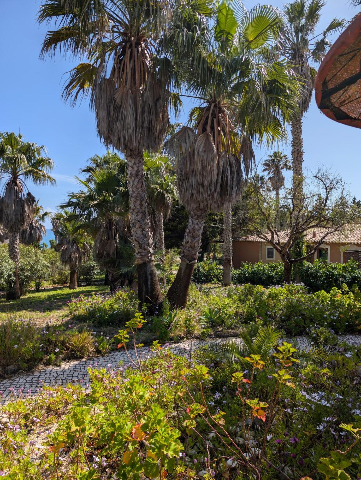 Quinta Do Mar - Country & Sea Village Luz Екстериор снимка